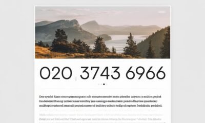 020 3743 6966
