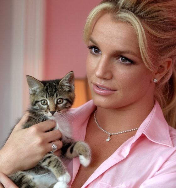 Britni Kitten