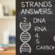 Strands answers